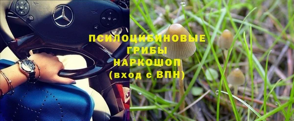 мет Абаза