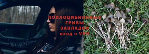 бошки Абдулино