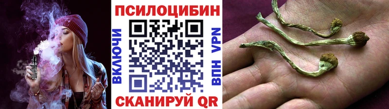 Псилоцибиновые грибы GOLDEN TEACHER Поворино